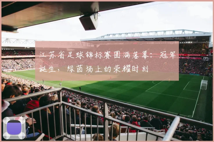 江苏省足球锦标赛圆满落幕:冠军诞生,绿茵场上的荣耀时刻