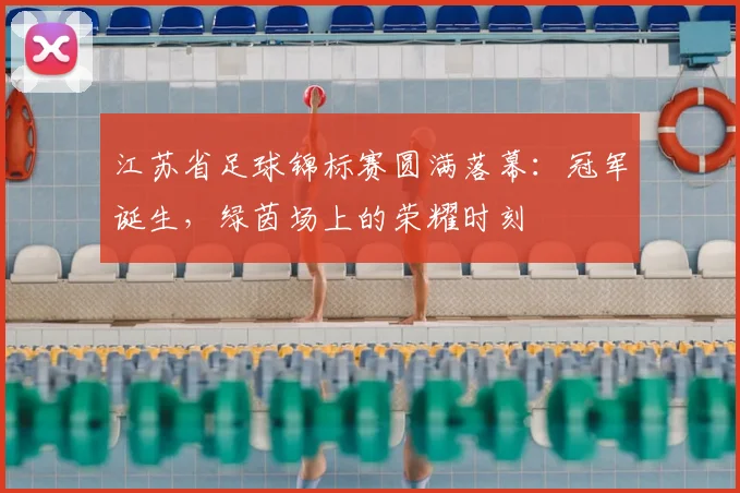 江苏省足球锦标赛圆满落幕:冠军诞生,绿茵场上的荣耀时刻
